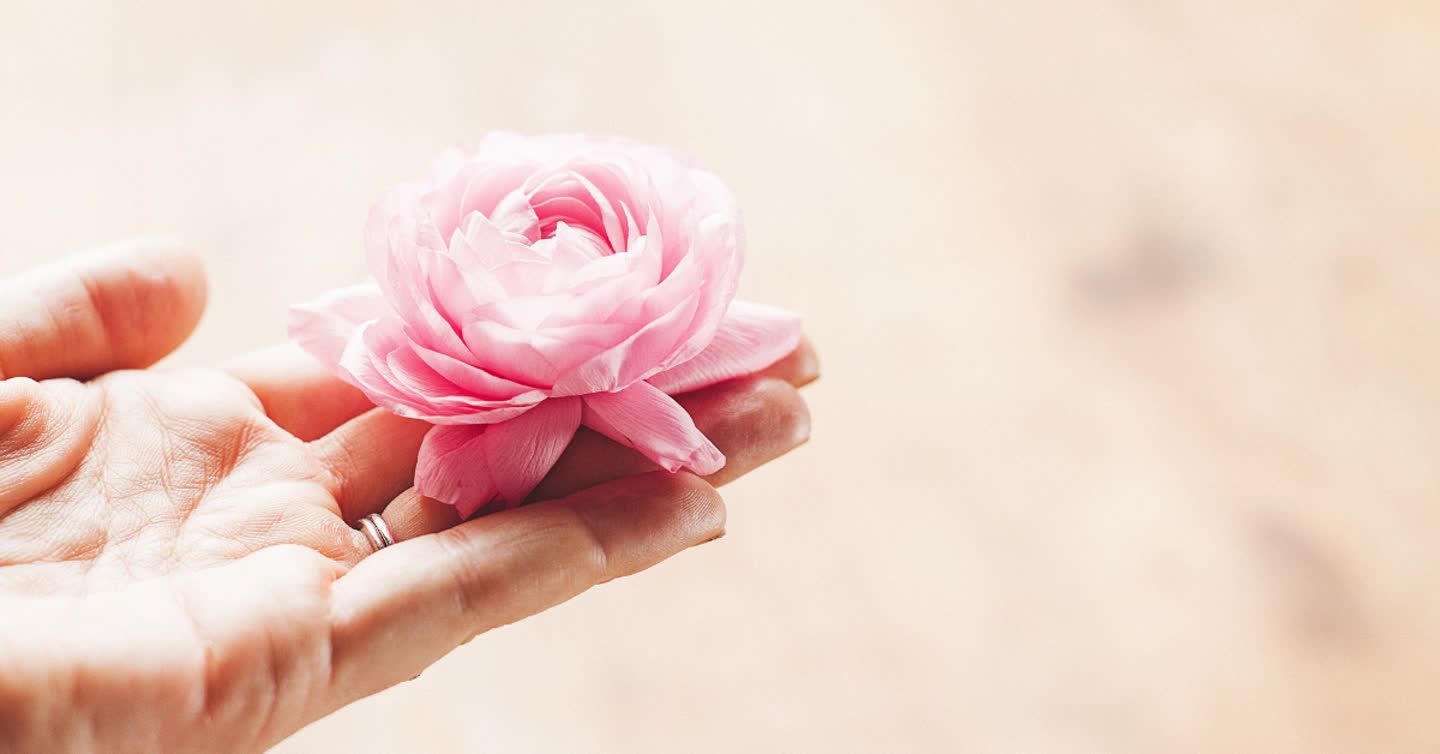 Open hand gently cradling a single pink ranunculus flower against a soft beige background